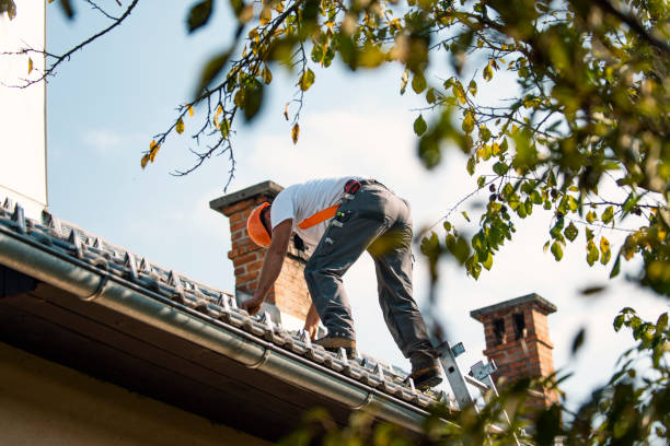Best Storm Damage Roof Repair  in Washington Park, IL