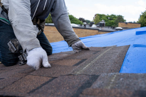 Best Roof Leak Repair  in Washington Park, IL