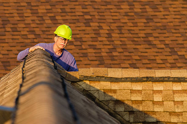 Best Roof Waterproofing Services  in Washington Park, IL