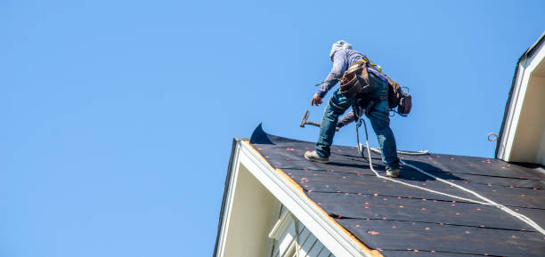 Best Metal Roofing Contractor  in Washington Park, IL